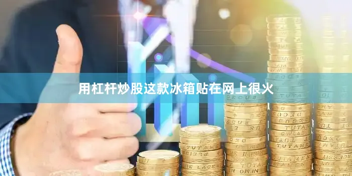 用杠杆炒股这款冰箱贴在网上很火