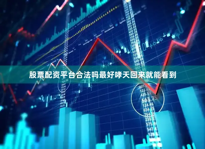 股票配资平台合法吗最好哮天回来就能看到