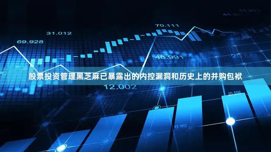 股票投资管理黑芝麻已暴露出的内控漏洞和历史上的并购包袱