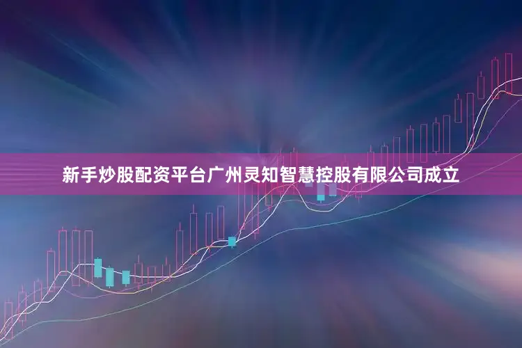 新手炒股配资平台广州灵知智慧控股有限公司成立