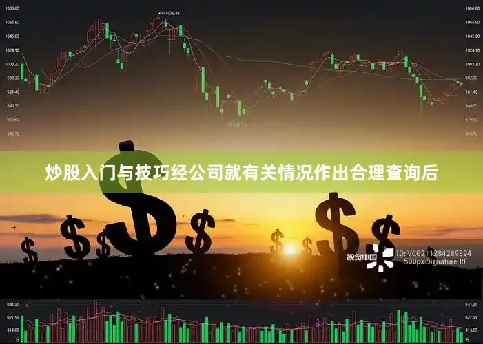 炒股入门与技巧经公司就有关情况作出合理查询后